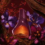 Deo Parfum Feminino Luna Ilumina 50 ml