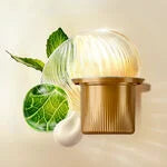 Refil Gel Creme Antissinais 30+ Dia 40g