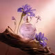 Liz D’essence Desodorante Colônia 100ml