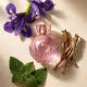 Liz D’essence Desodorante Colônia 100ml